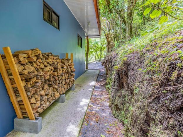 Cantos Del Bosque Monteverde 외부 사진