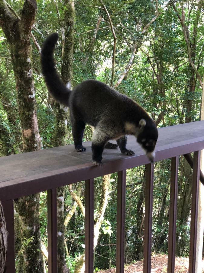 Cantos Del Bosque Monteverde 외부 사진